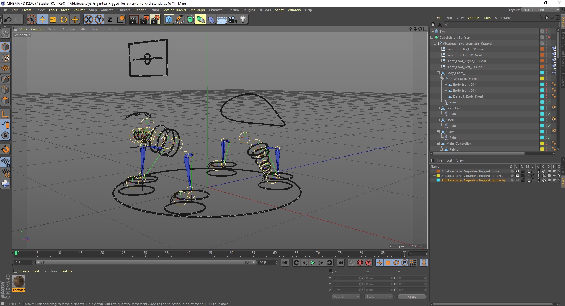 3D Aldabrachelys Gigantea Rigged for Cinema 4D model
