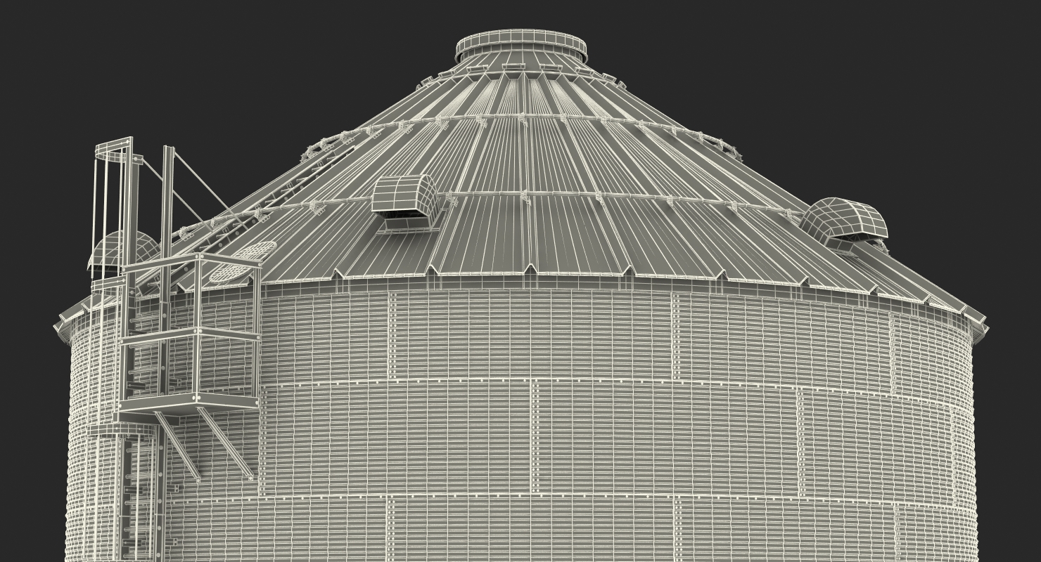 Grain Bin 3D model