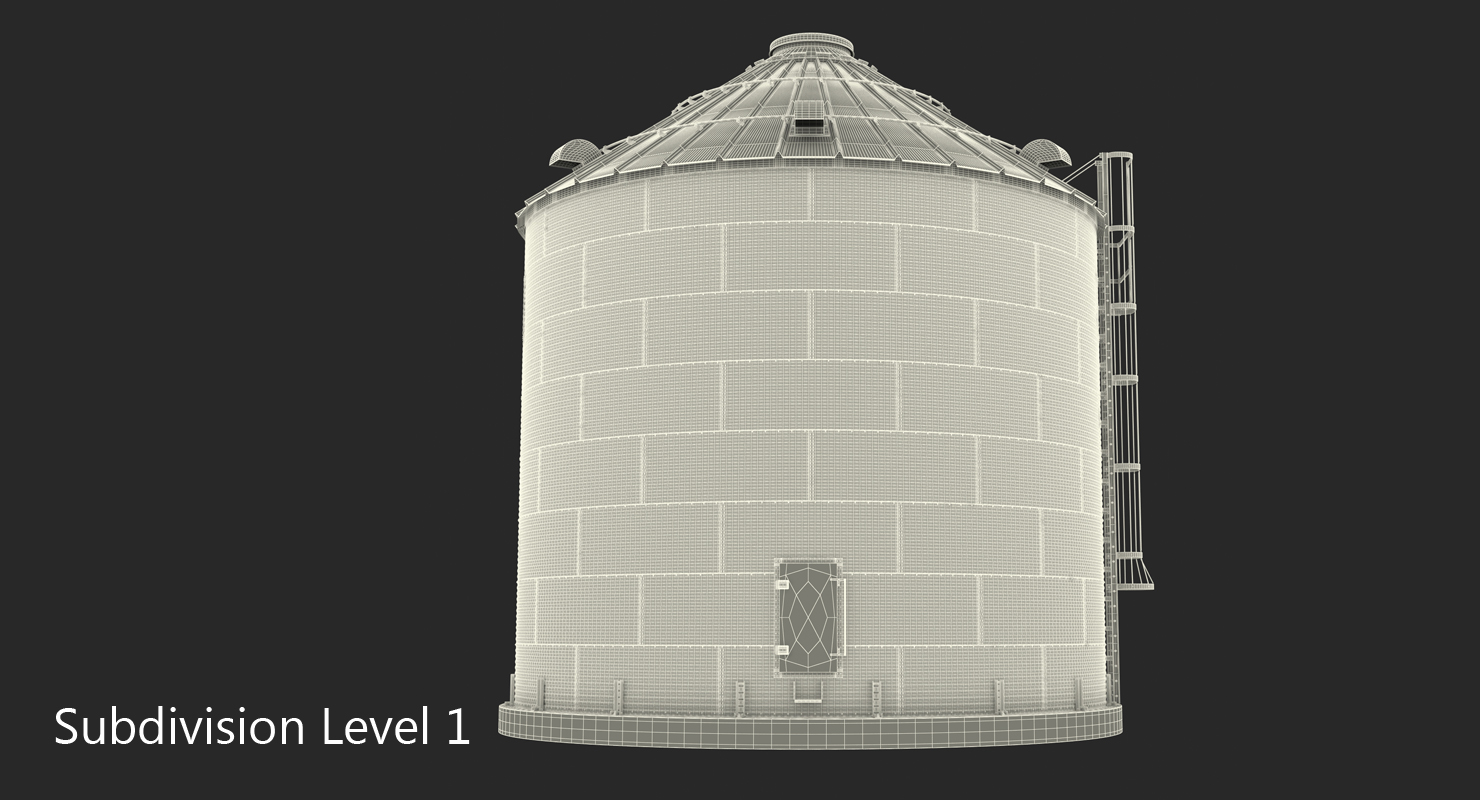 Grain Bin 3D model