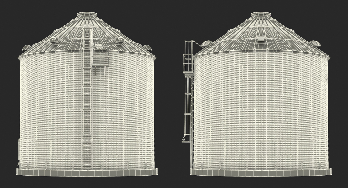 Grain Bin 3D model