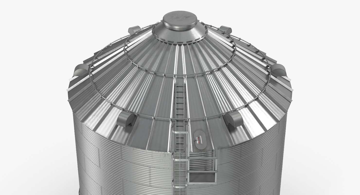 Grain Bin 3D model