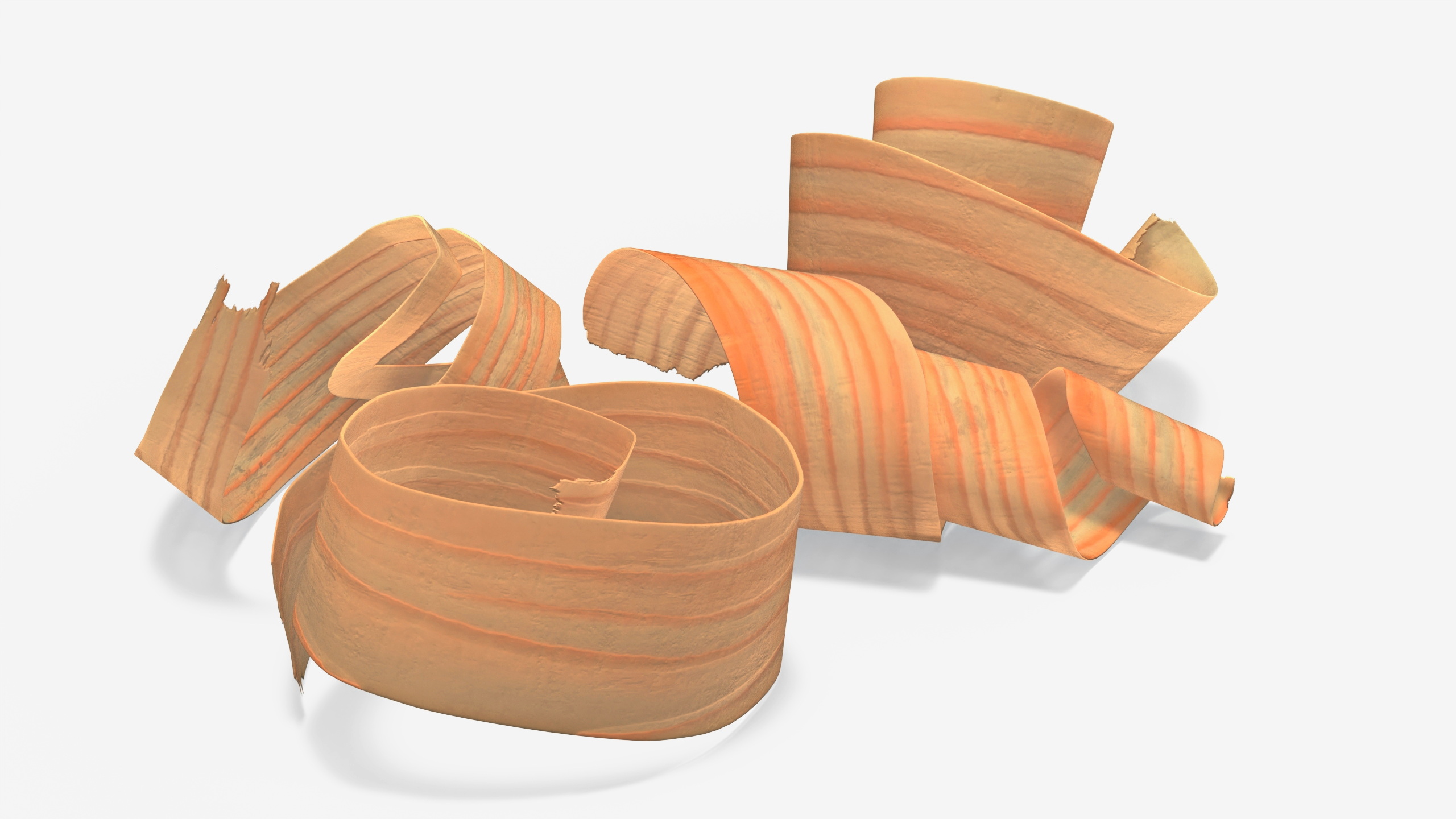 3D model Wood Chips