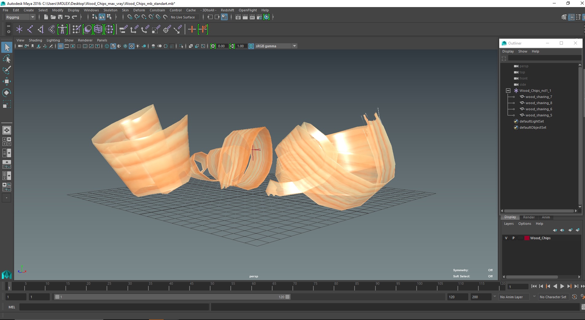3D model Wood Chips