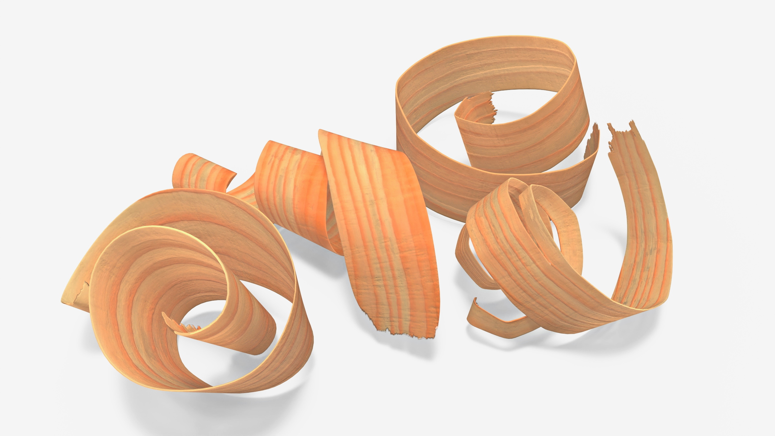 3D model Wood Chips