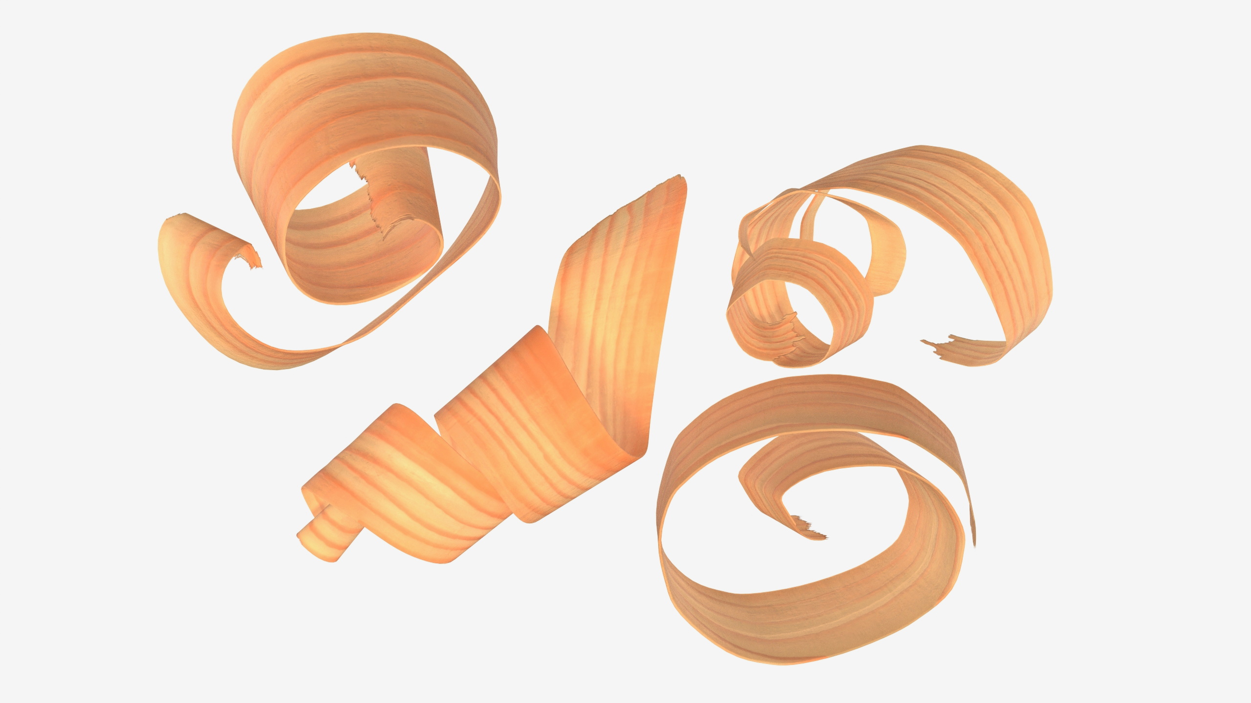 3D model Wood Chips