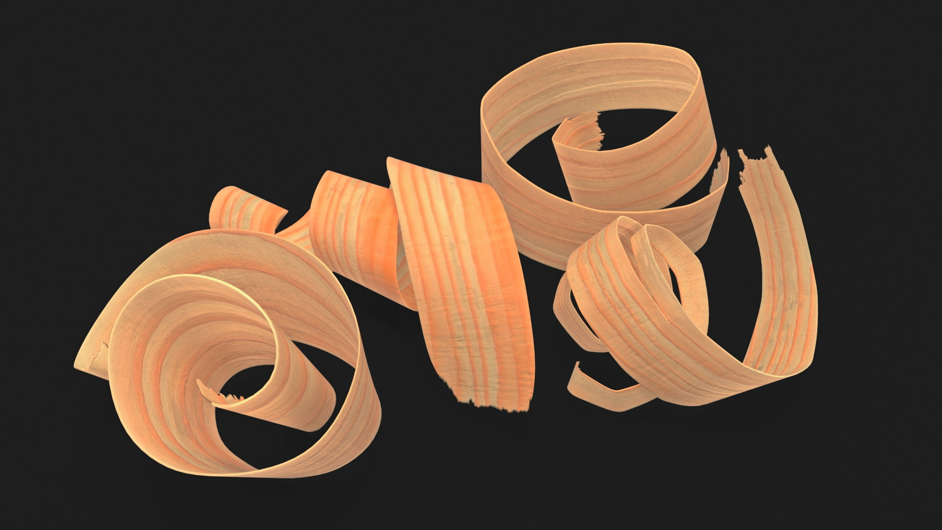 3D model Wood Chips