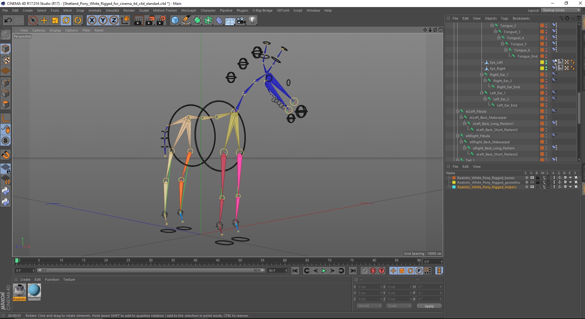 3D model Shetland Pony White Rigged for Cinema 4D