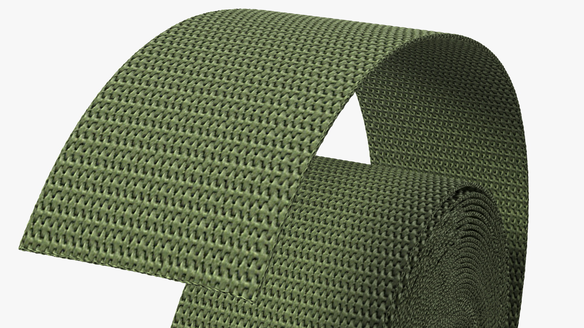 3D model Webbing Belt Strap Round Green