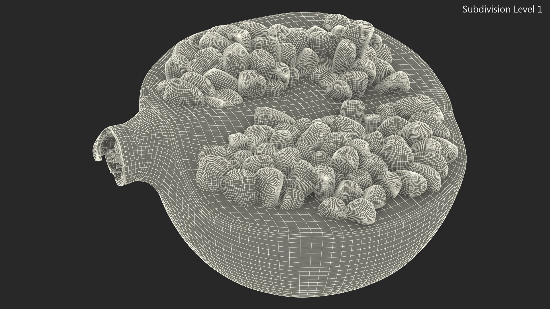 3D model Pomegranate Red Fruit Cross Section