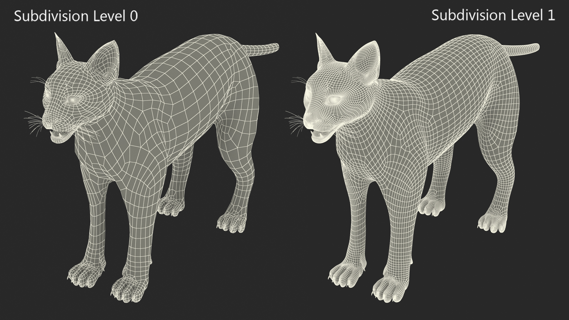 3D Caracal Rigged for Cinema 4D model