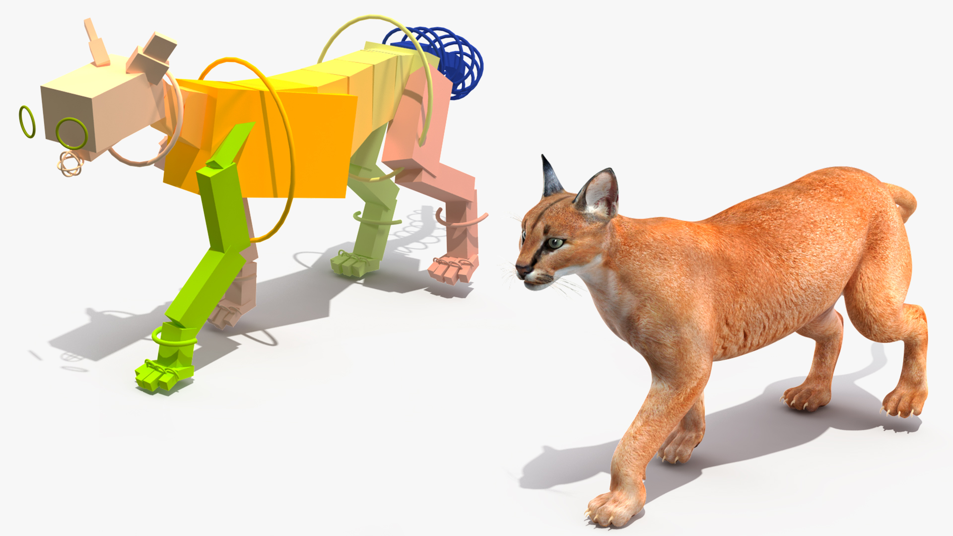 3D Caracal Rigged for Cinema 4D model