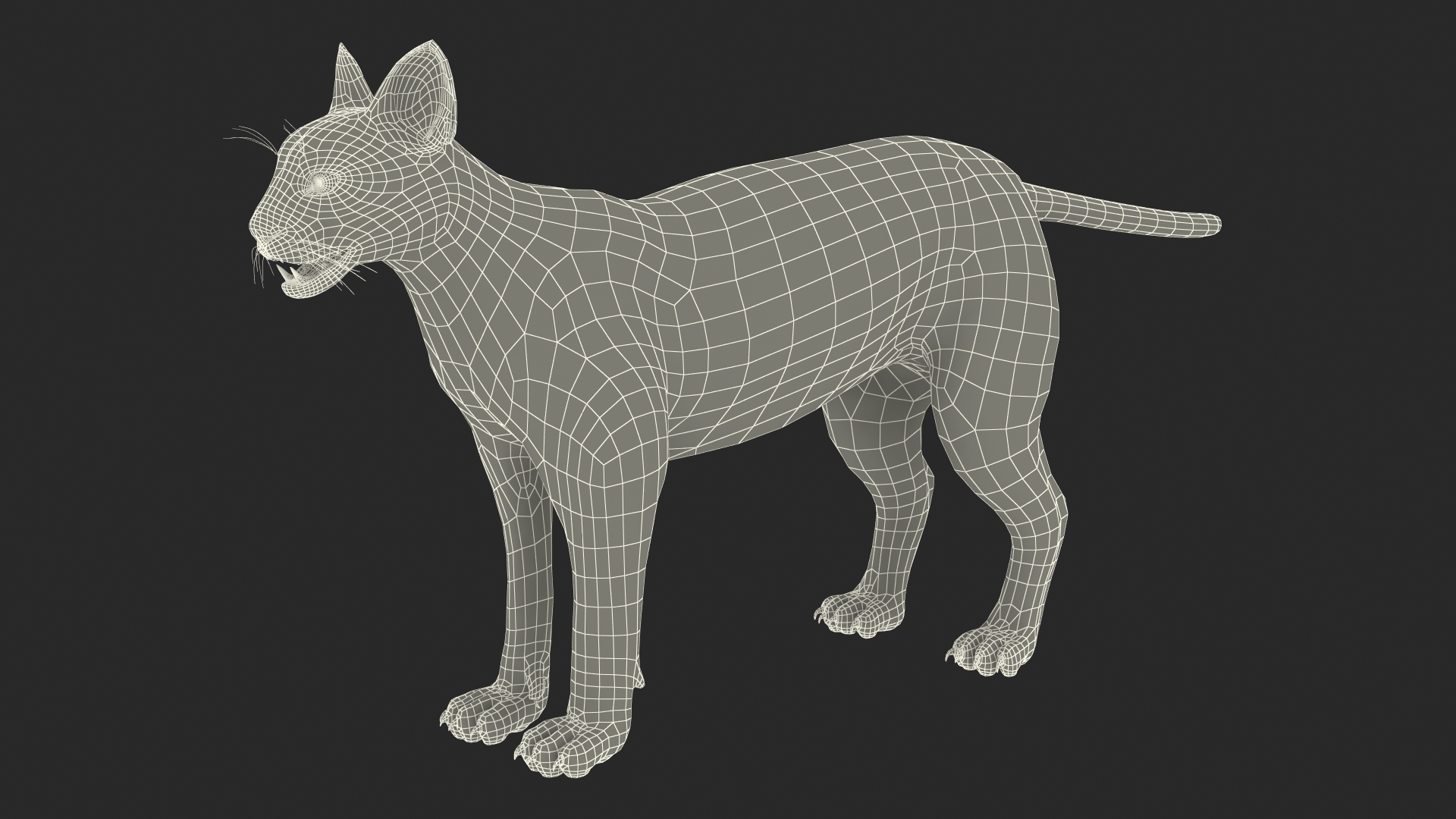 3D Caracal Rigged for Cinema 4D model