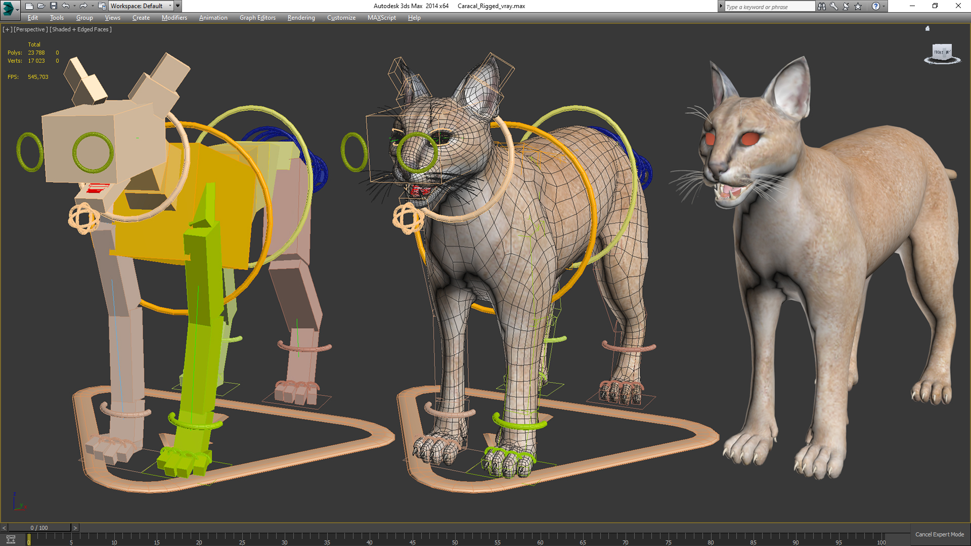 3D Caracal Rigged for Cinema 4D model