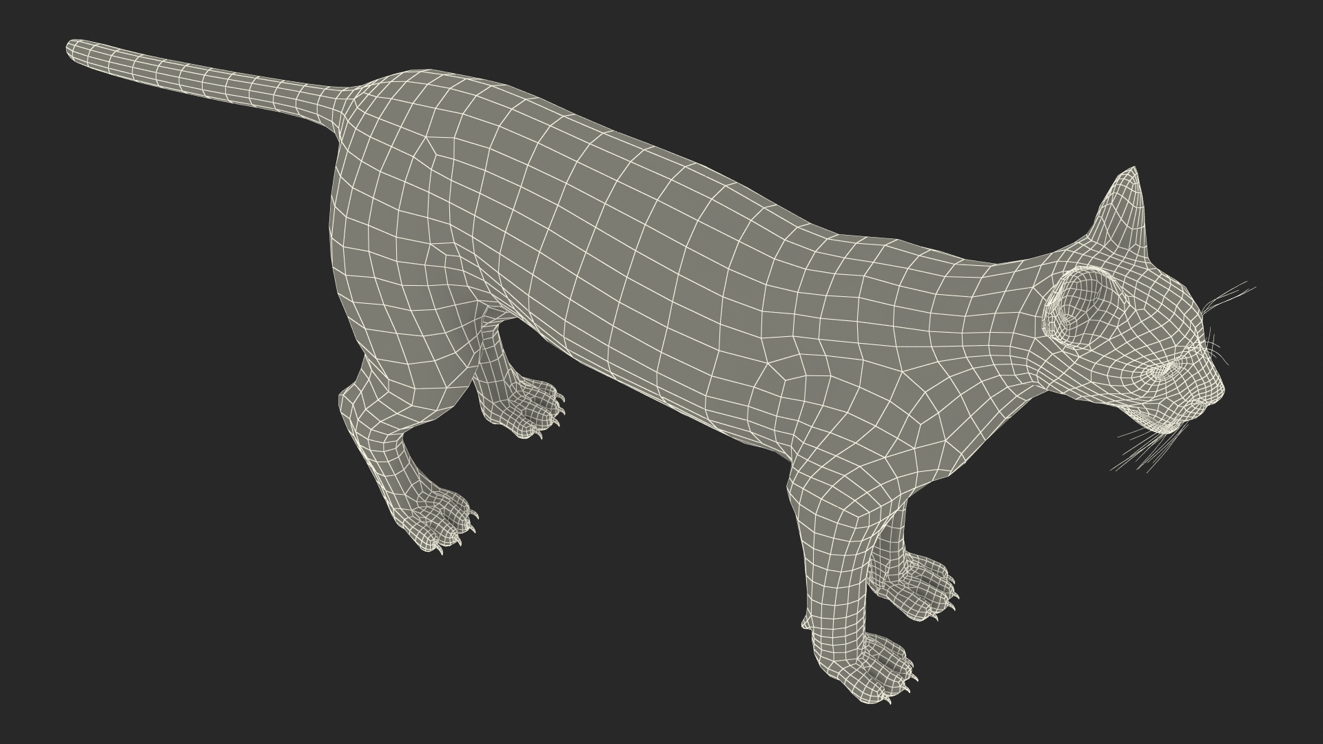 3D Caracal Rigged for Cinema 4D model