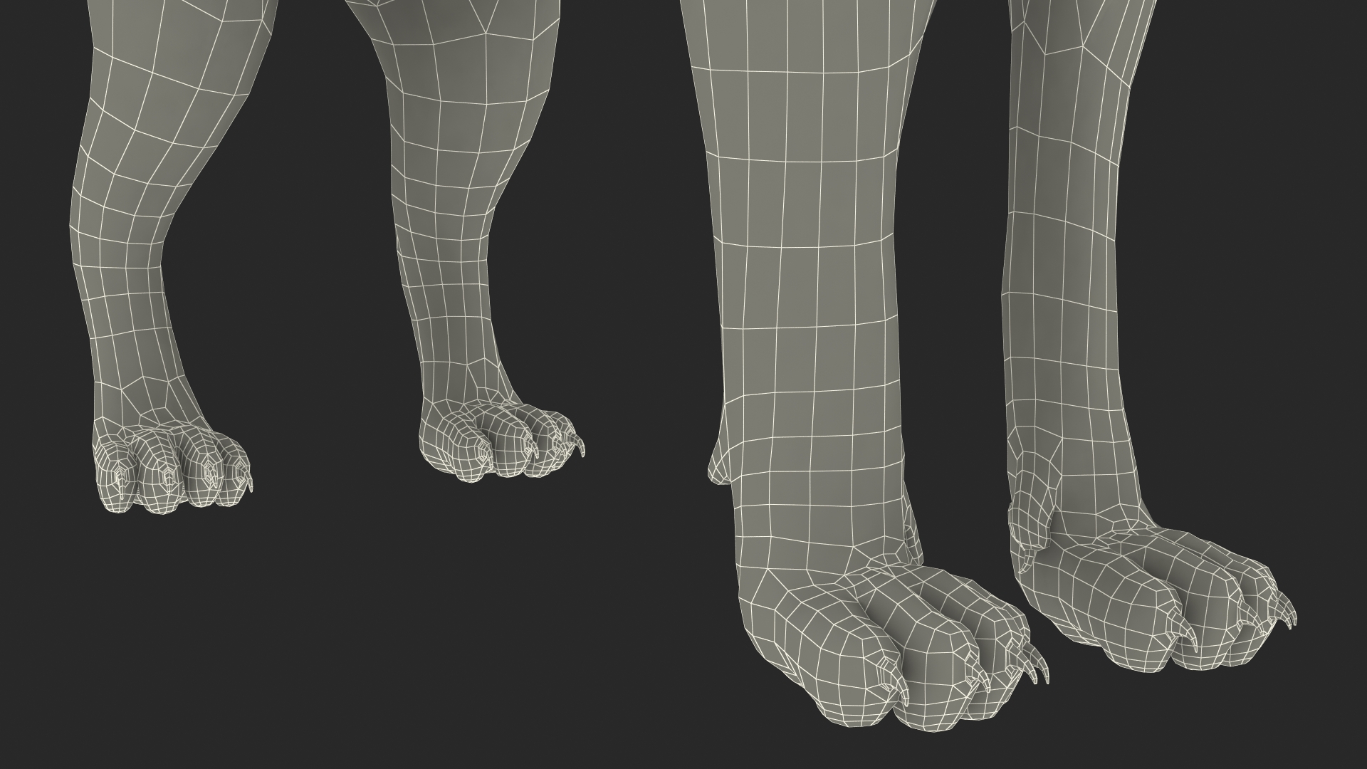 3D Caracal Rigged for Cinema 4D model