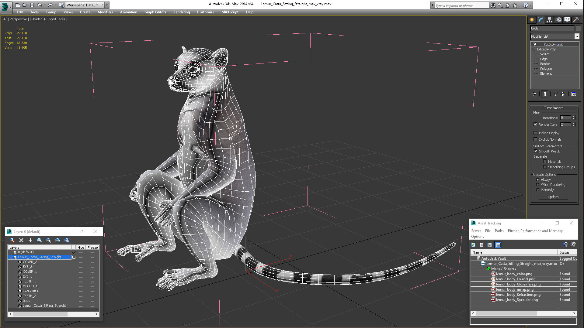 3D Lemur Catta Sitting Straight model