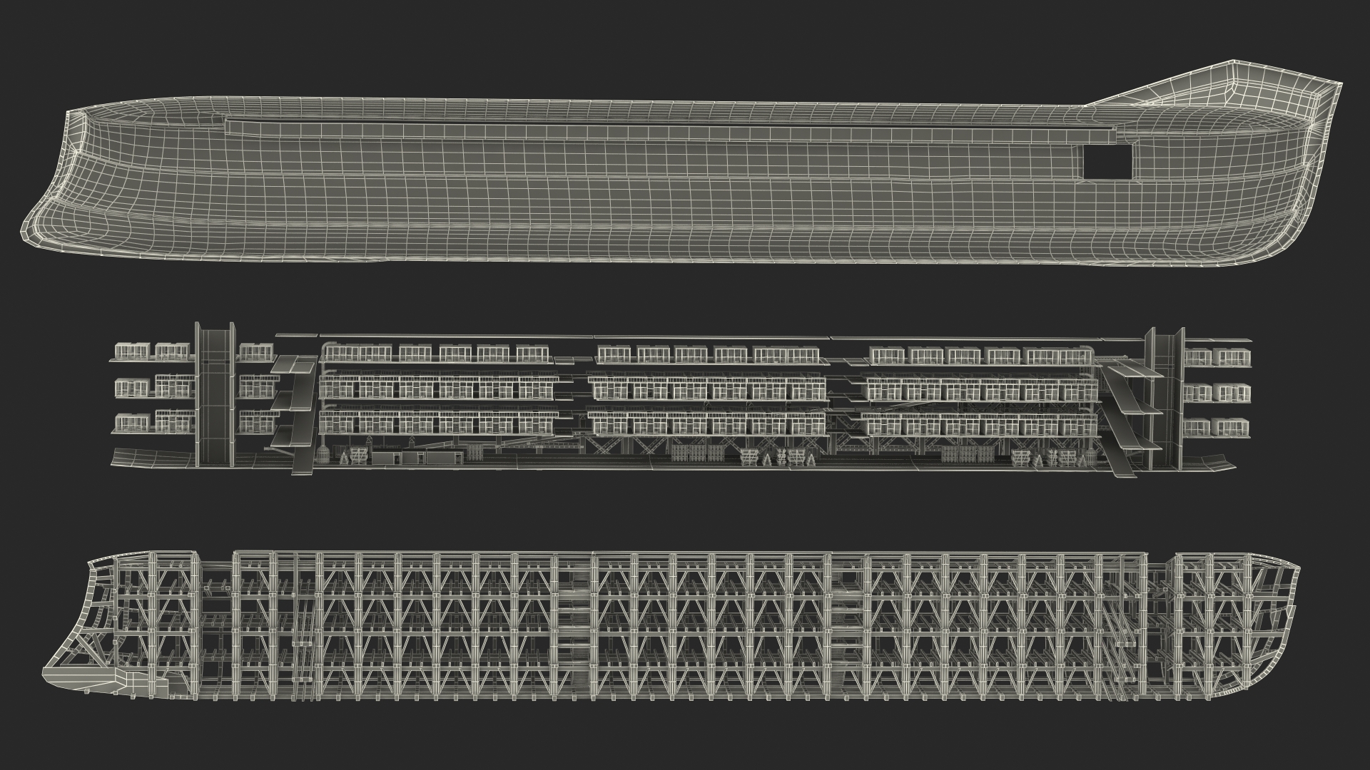 3D model Noah Ark Cross Section with transparency