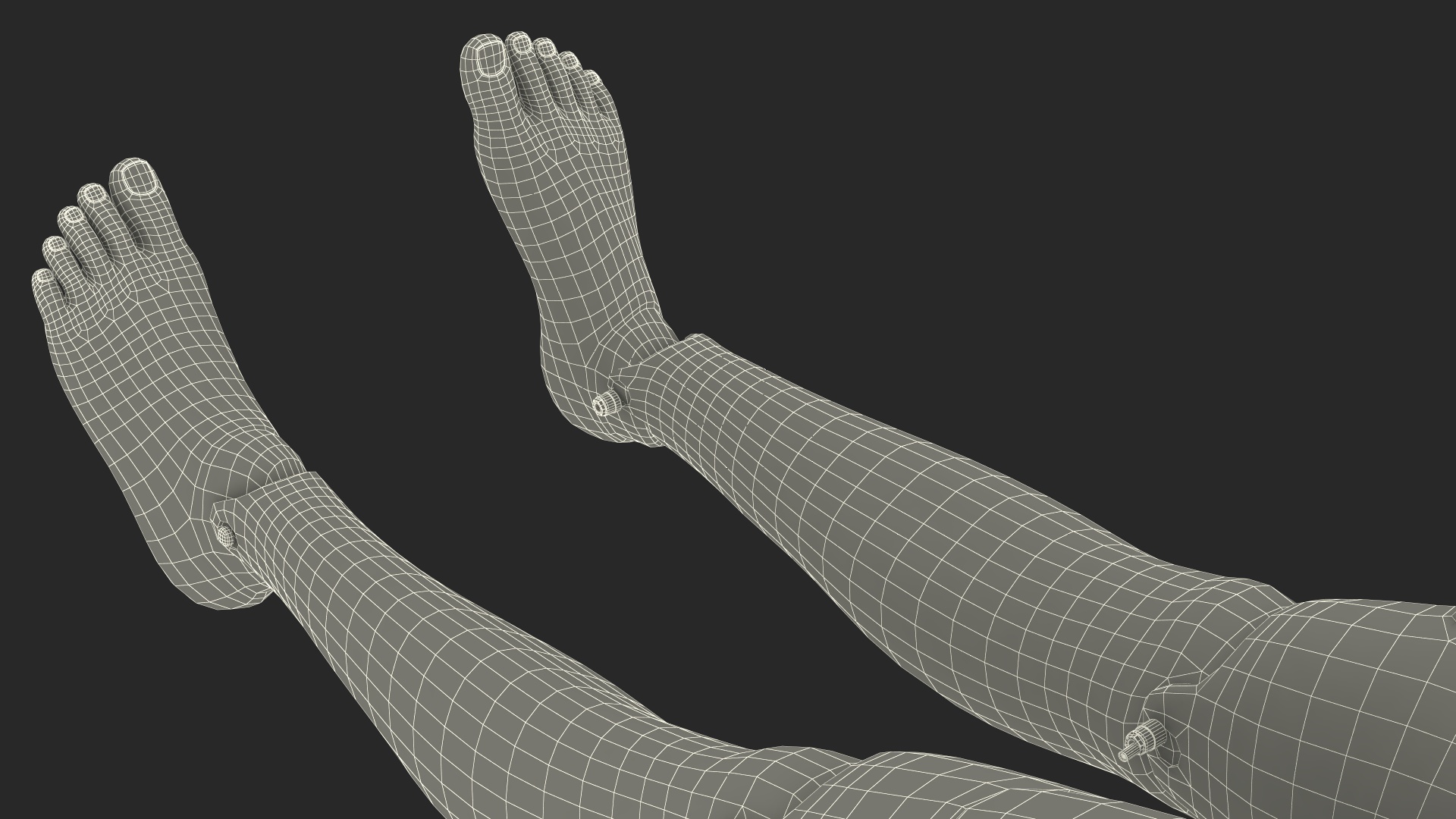 3D Med Sled with Manikin