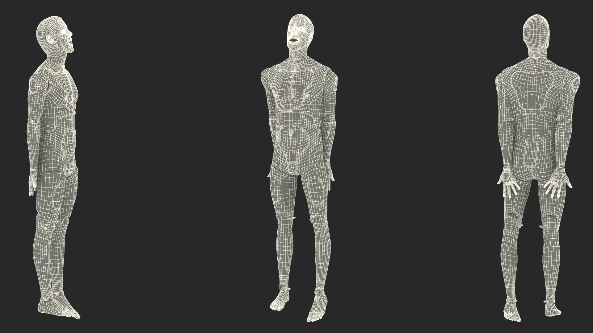 3D Med Sled with Manikin