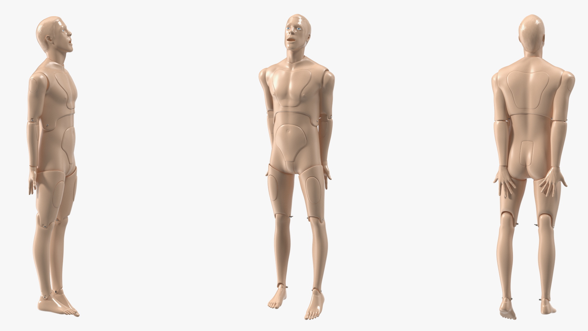 3D Med Sled with Manikin