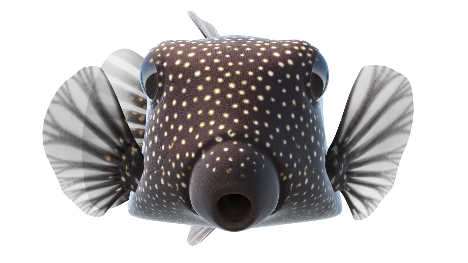 3D Brown Spotted Boxfish