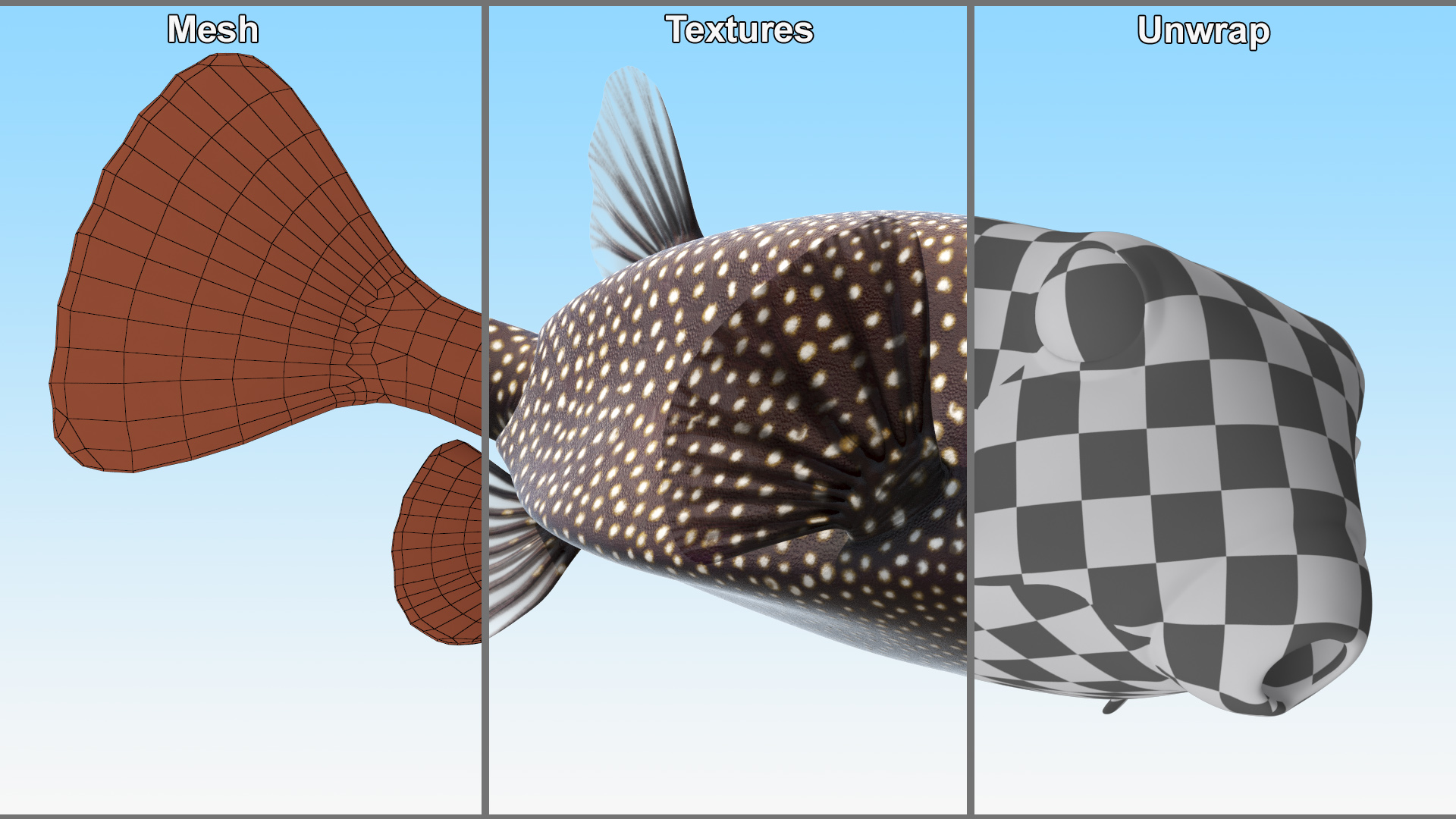 3D Brown Spotted Boxfish