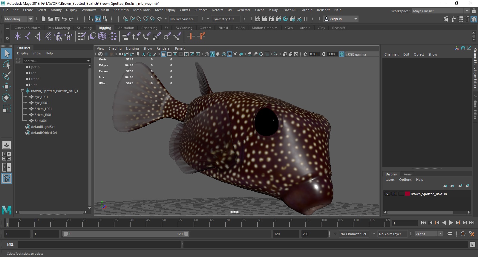 3D Brown Spotted Boxfish