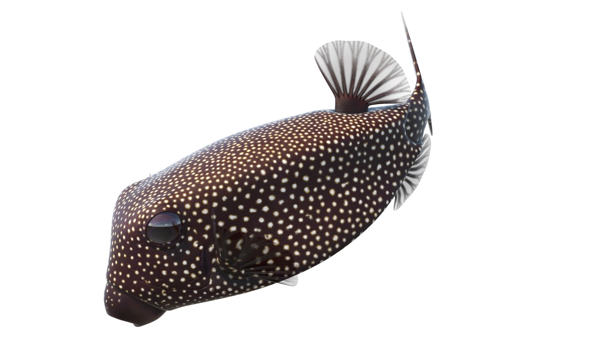 3D Brown Spotted Boxfish