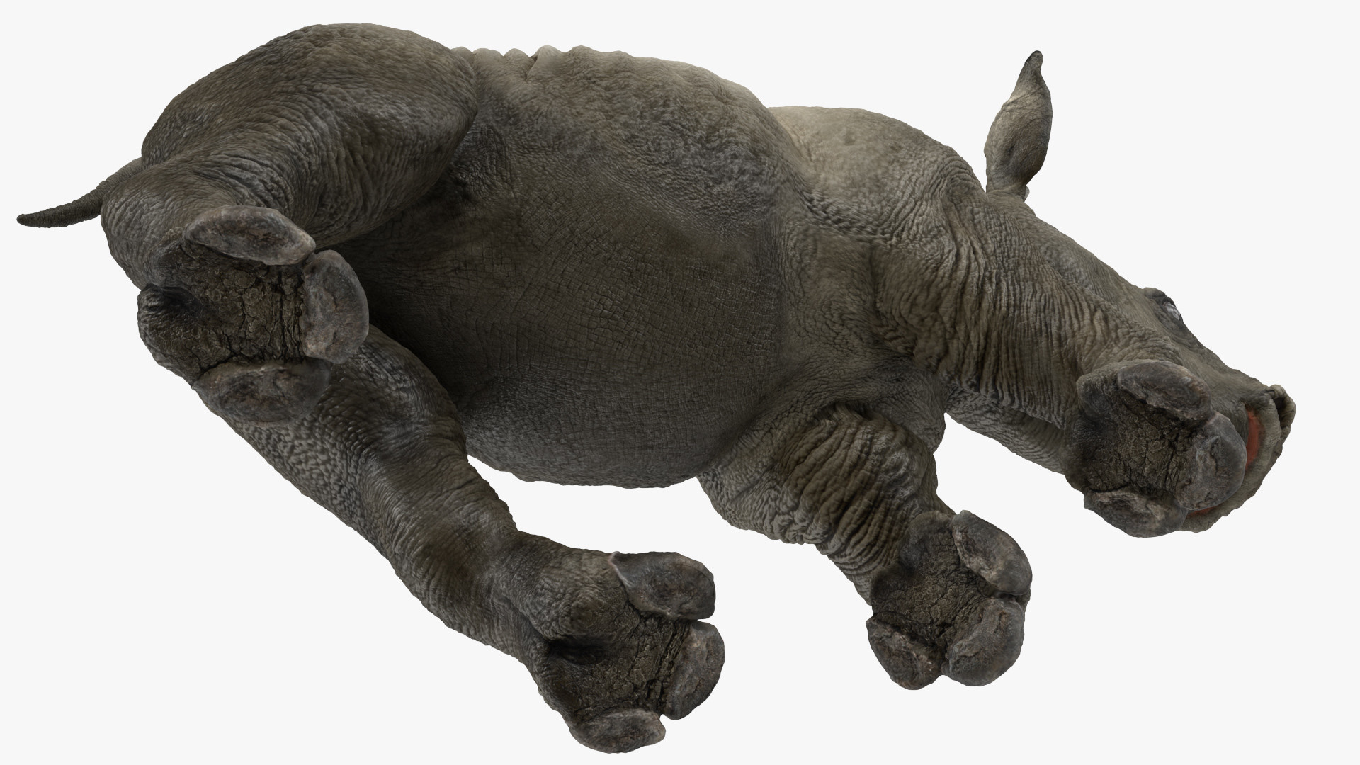 3D Baby Rhino Running Pose model