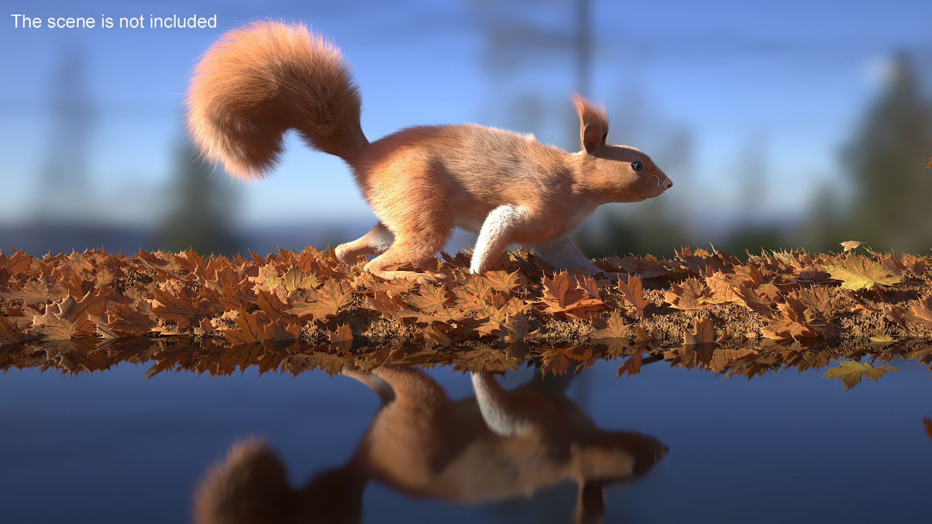 3D Red Squirrel Fur Rigged model