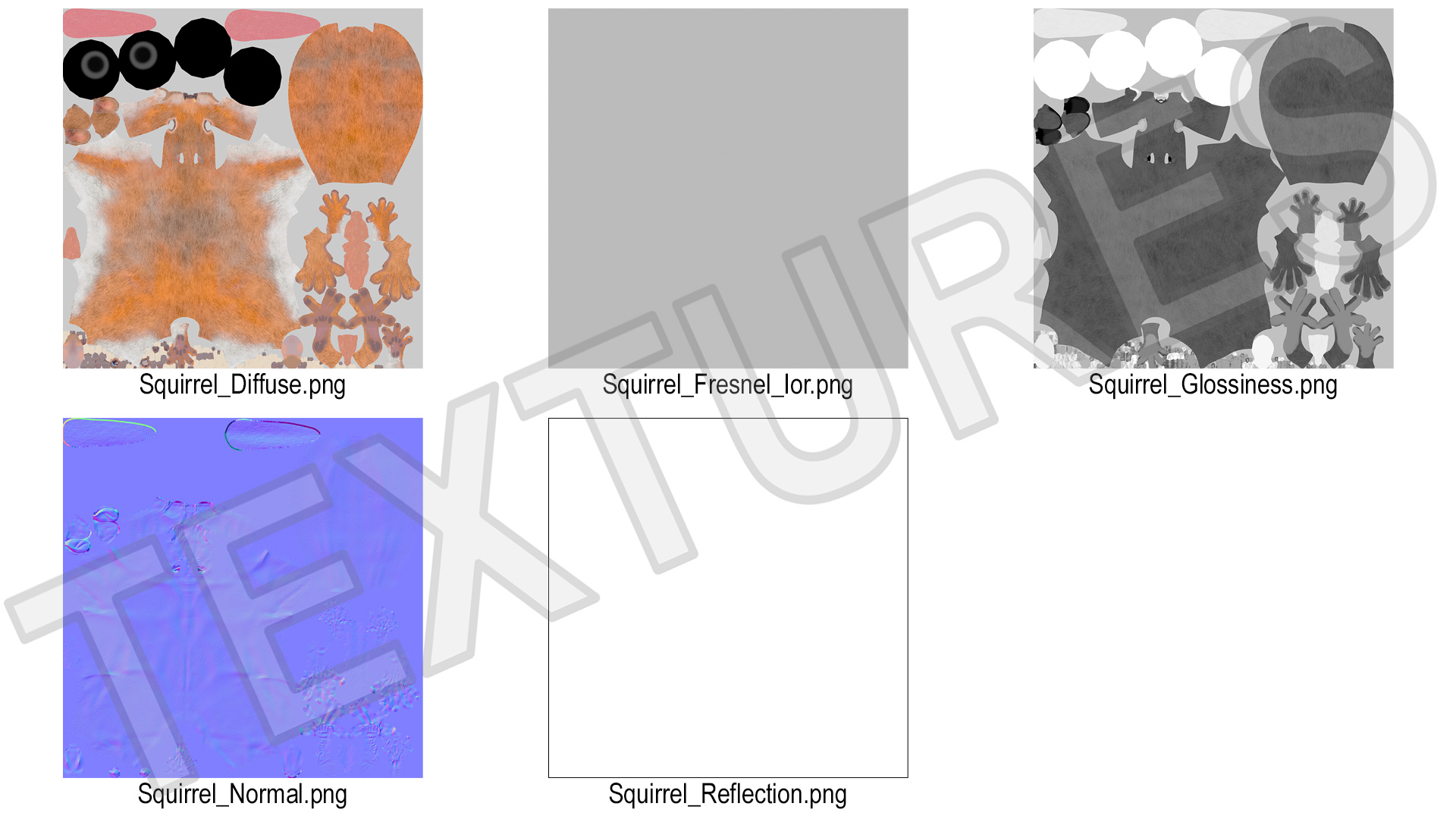 3D Red Squirrel Fur Rigged model