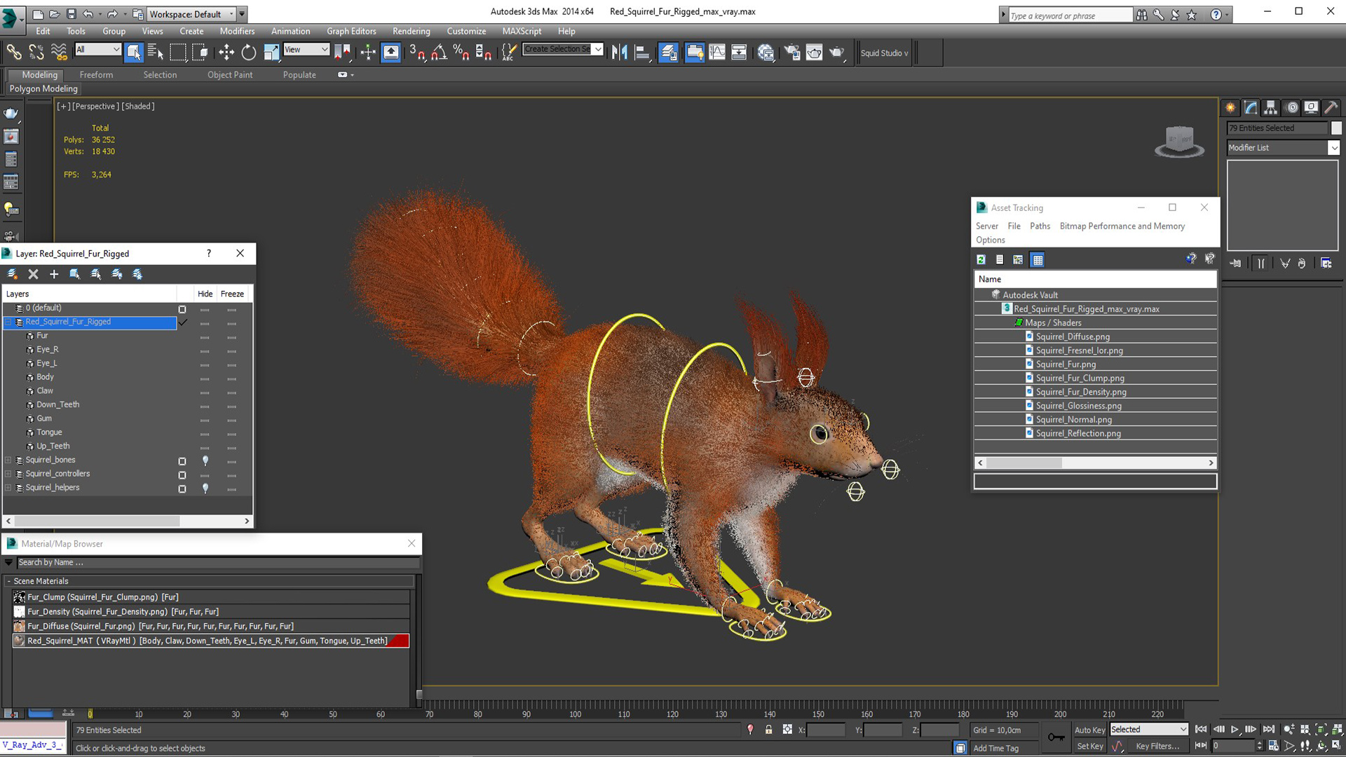 3D Red Squirrel Fur Rigged model