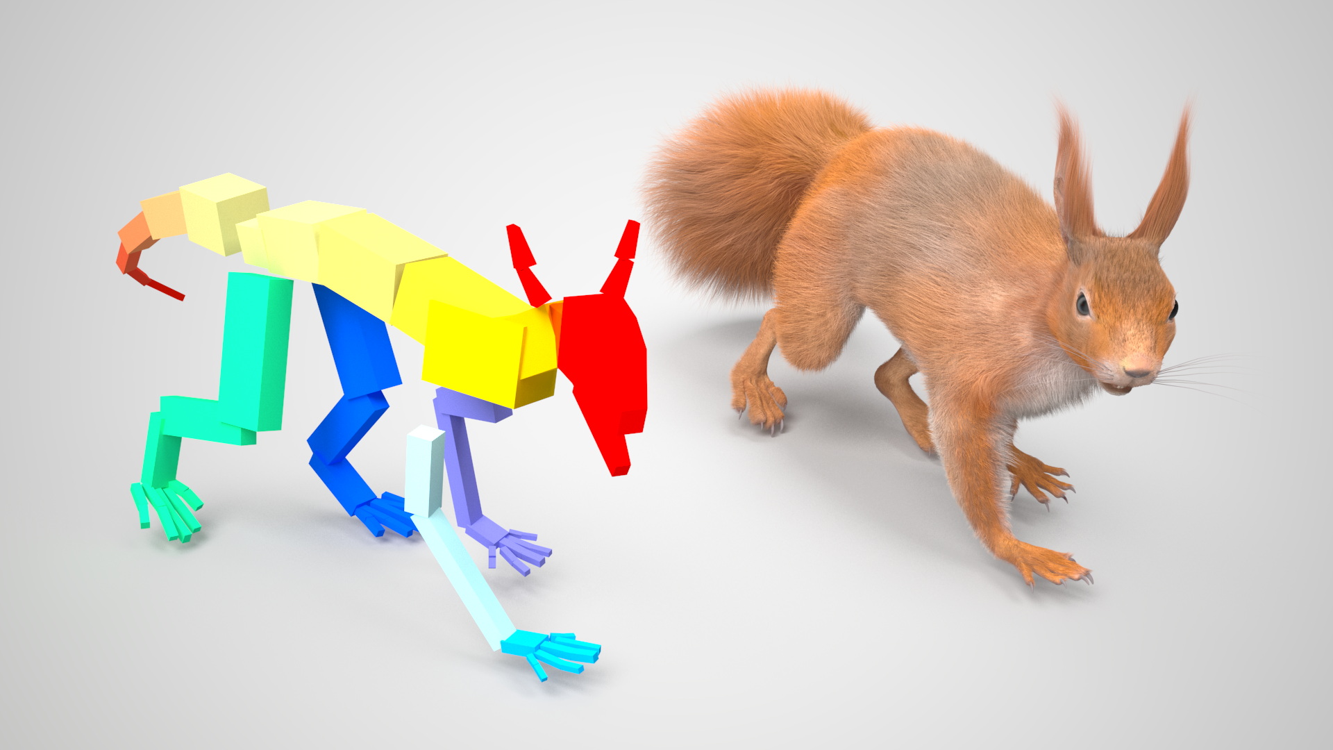 3D Red Squirrel Fur Rigged model