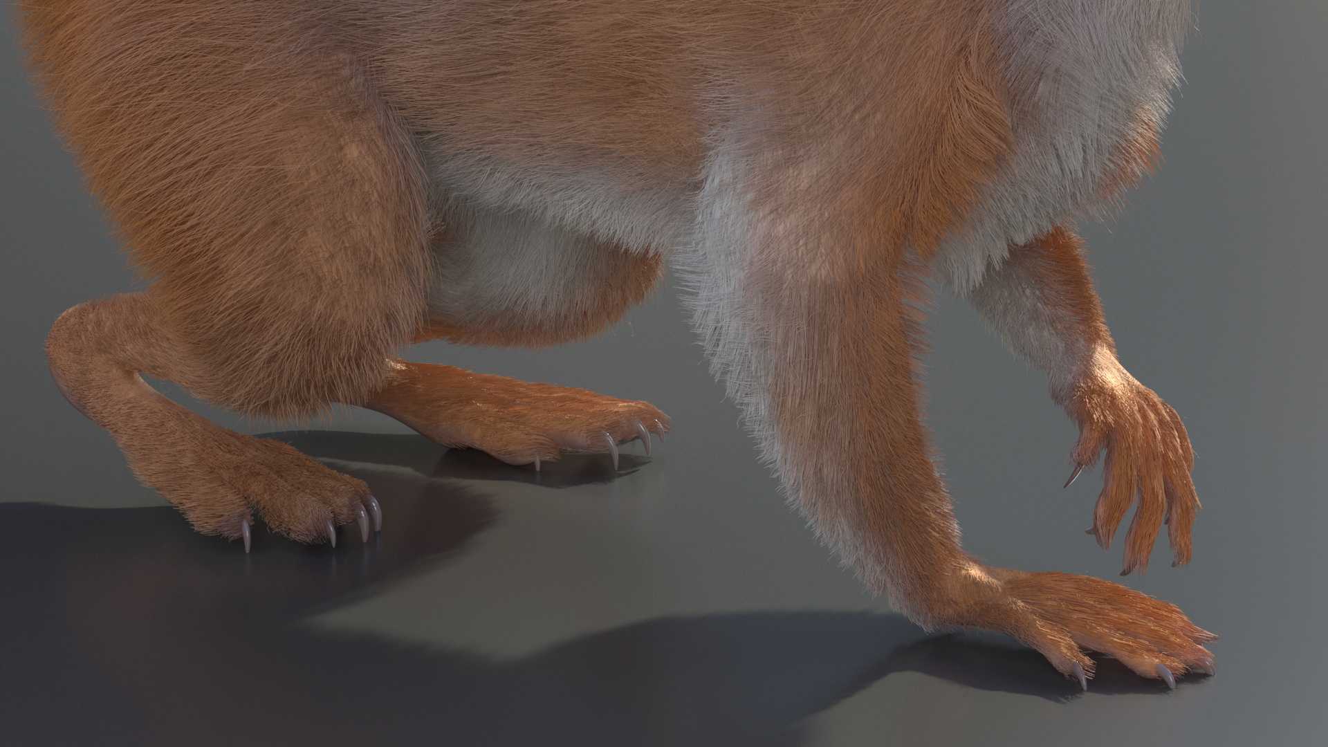 3D Red Squirrel Fur Rigged model