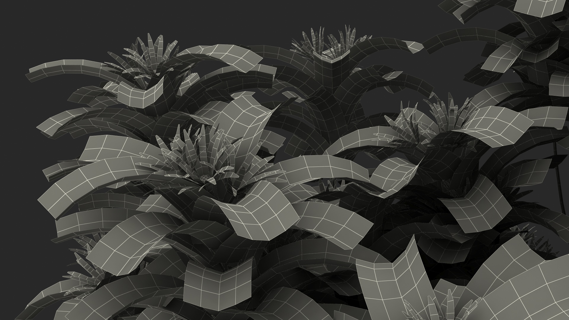 3D model Flowering Anise Tree