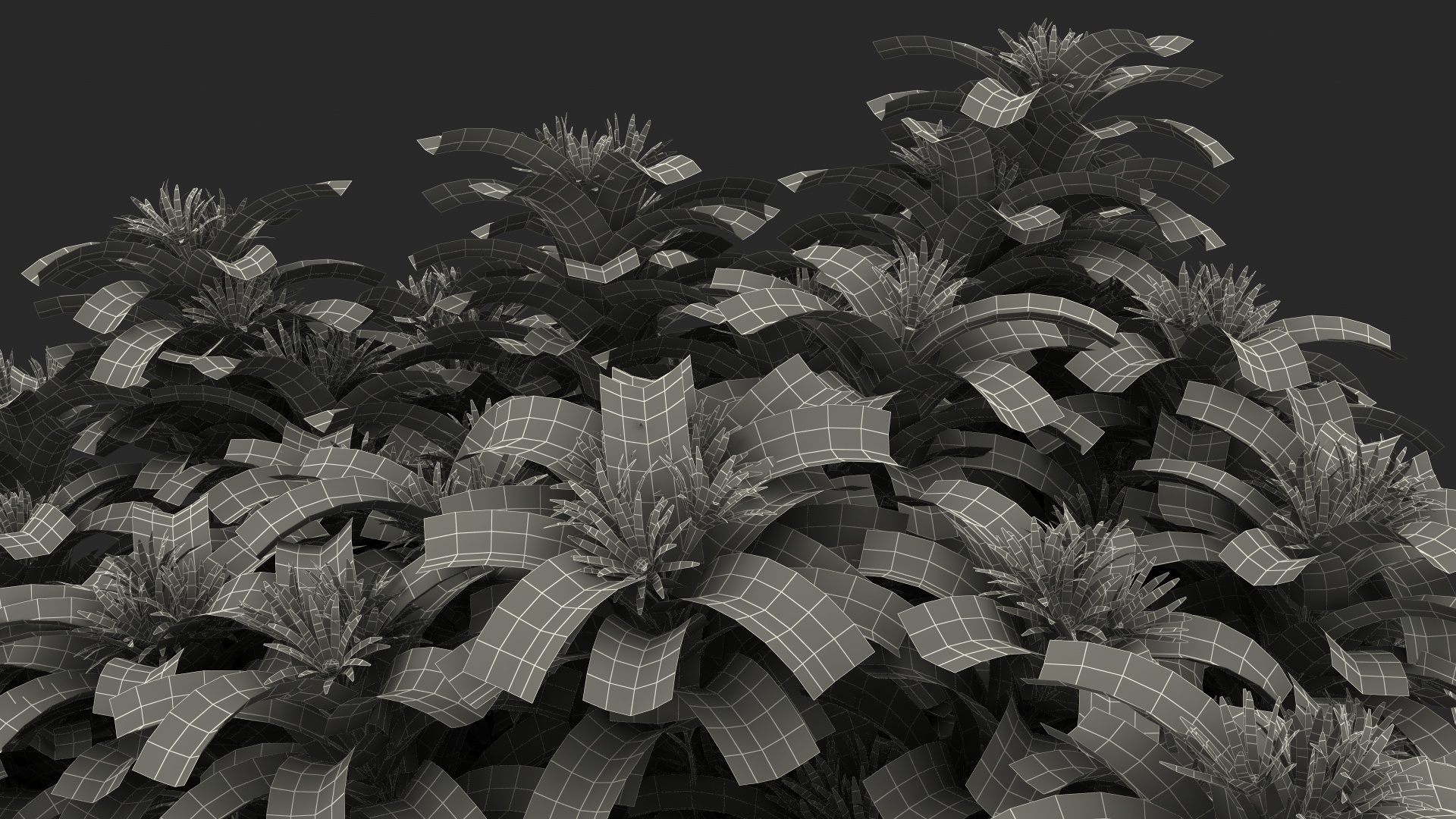 3D model Flowering Anise Tree