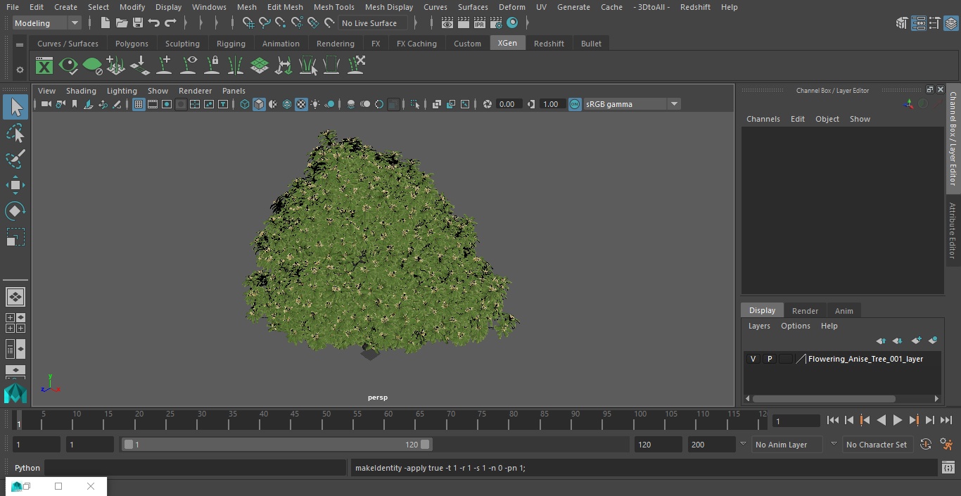 3D model Flowering Anise Tree