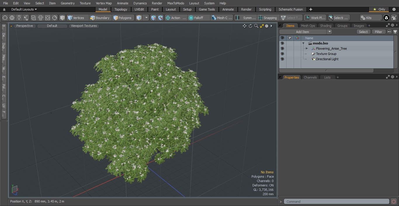 3D model Flowering Anise Tree
