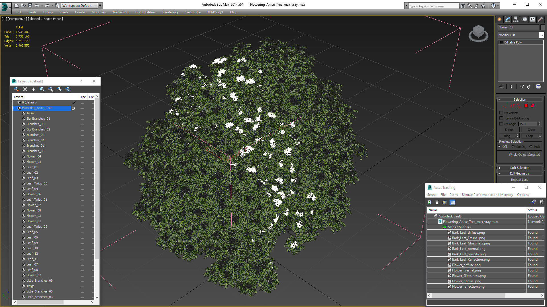 3D model Flowering Anise Tree