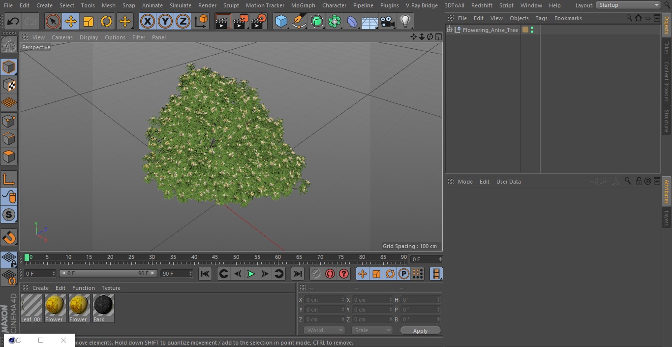 3D model Flowering Anise Tree