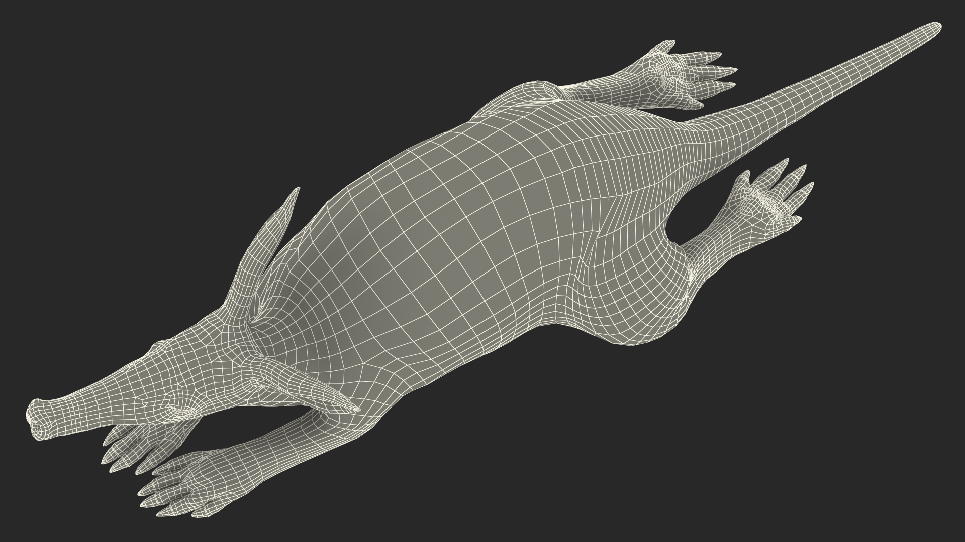African Animal Aardvark Lying Pose 3D model