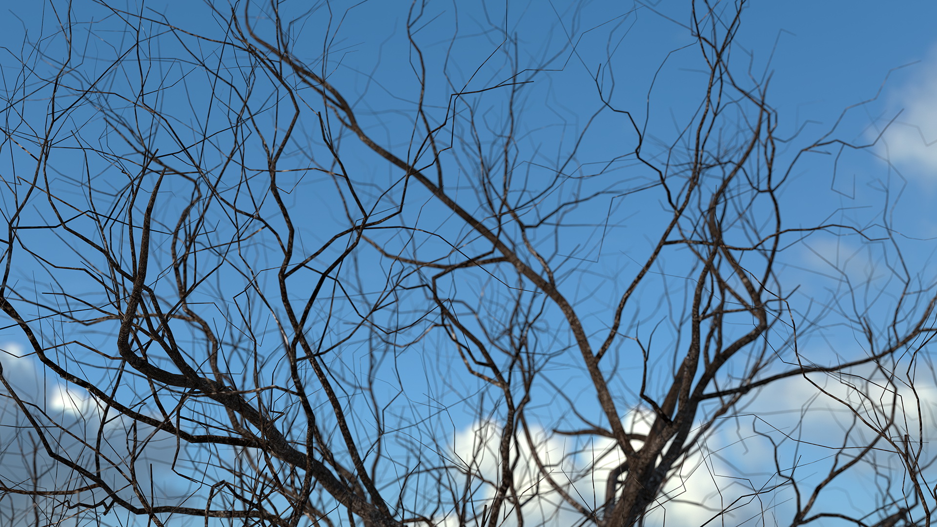 3D Winter Cherry Tree model
