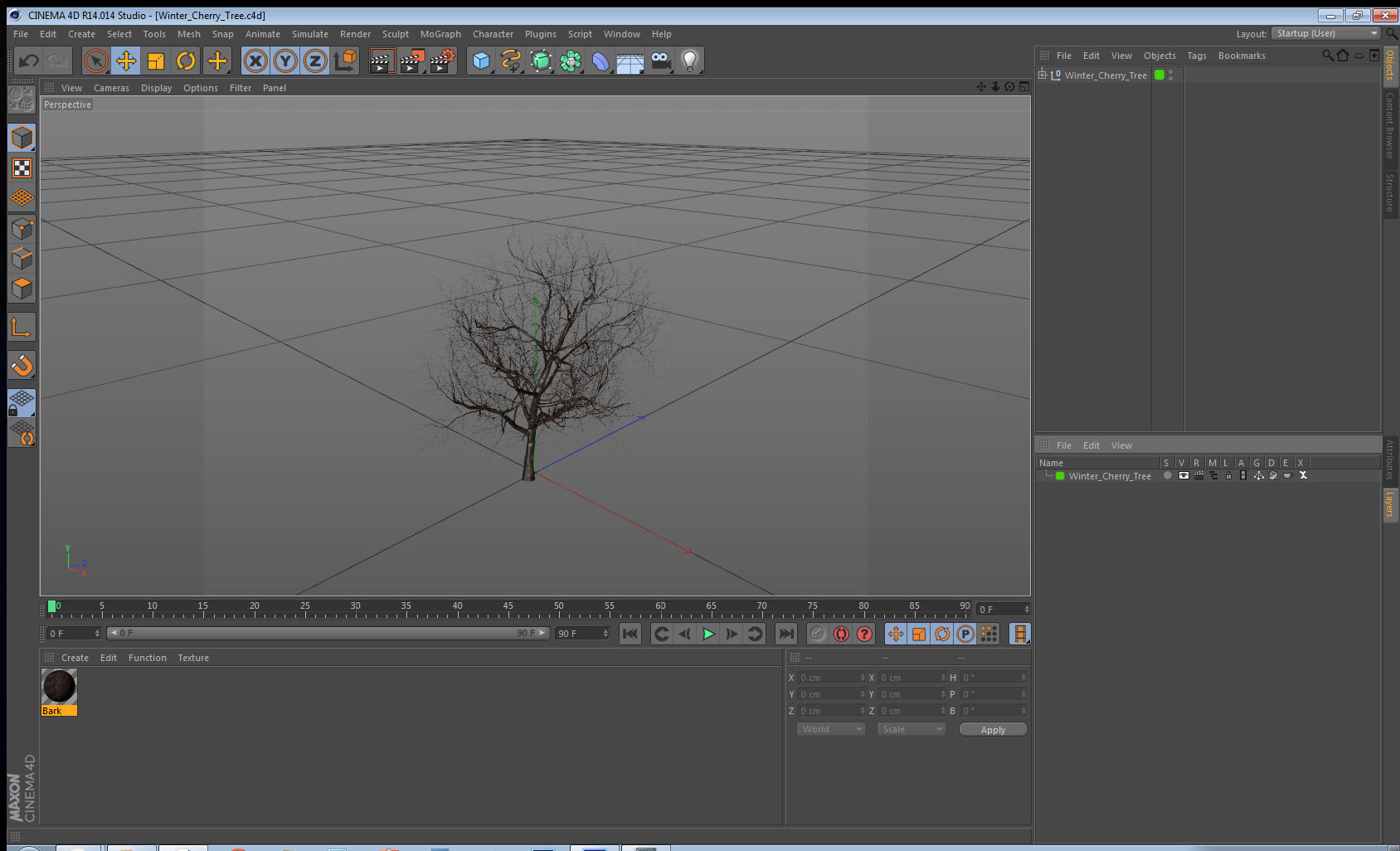 3D Winter Cherry Tree model
