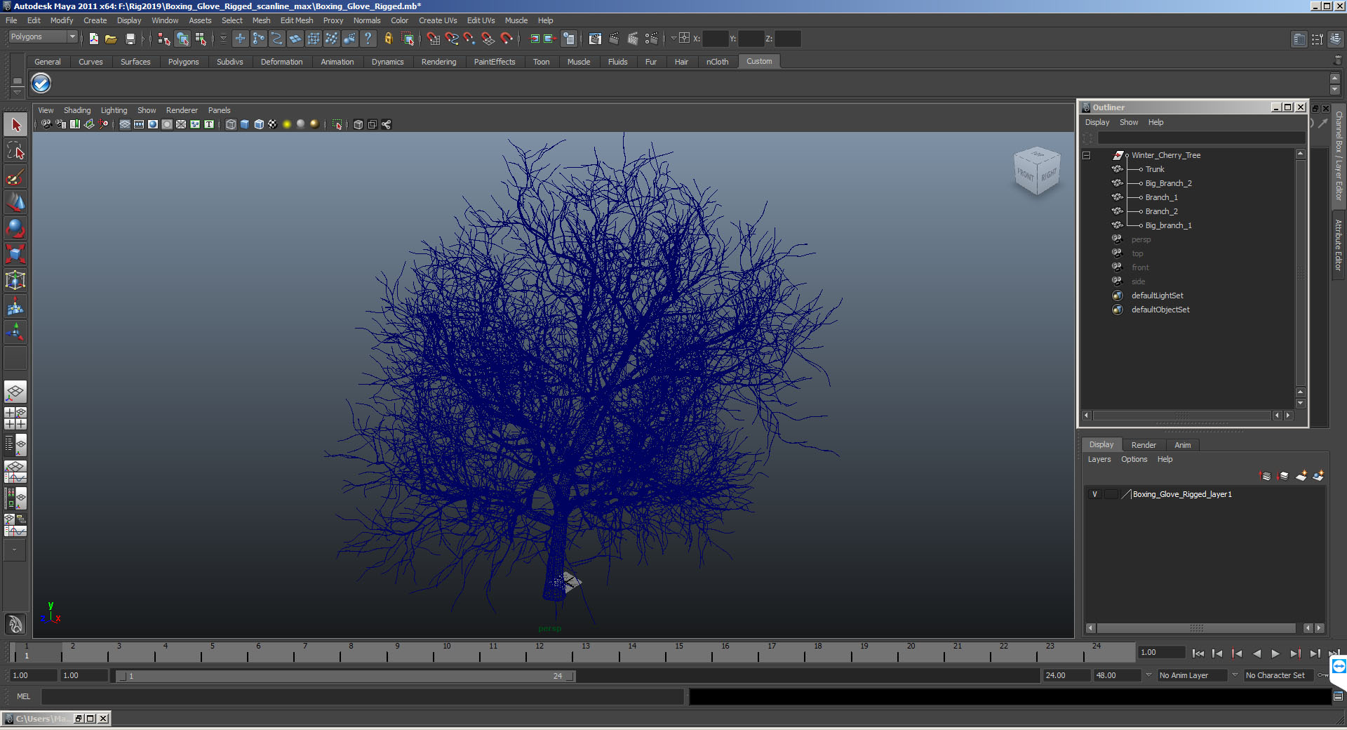 3D Winter Cherry Tree model