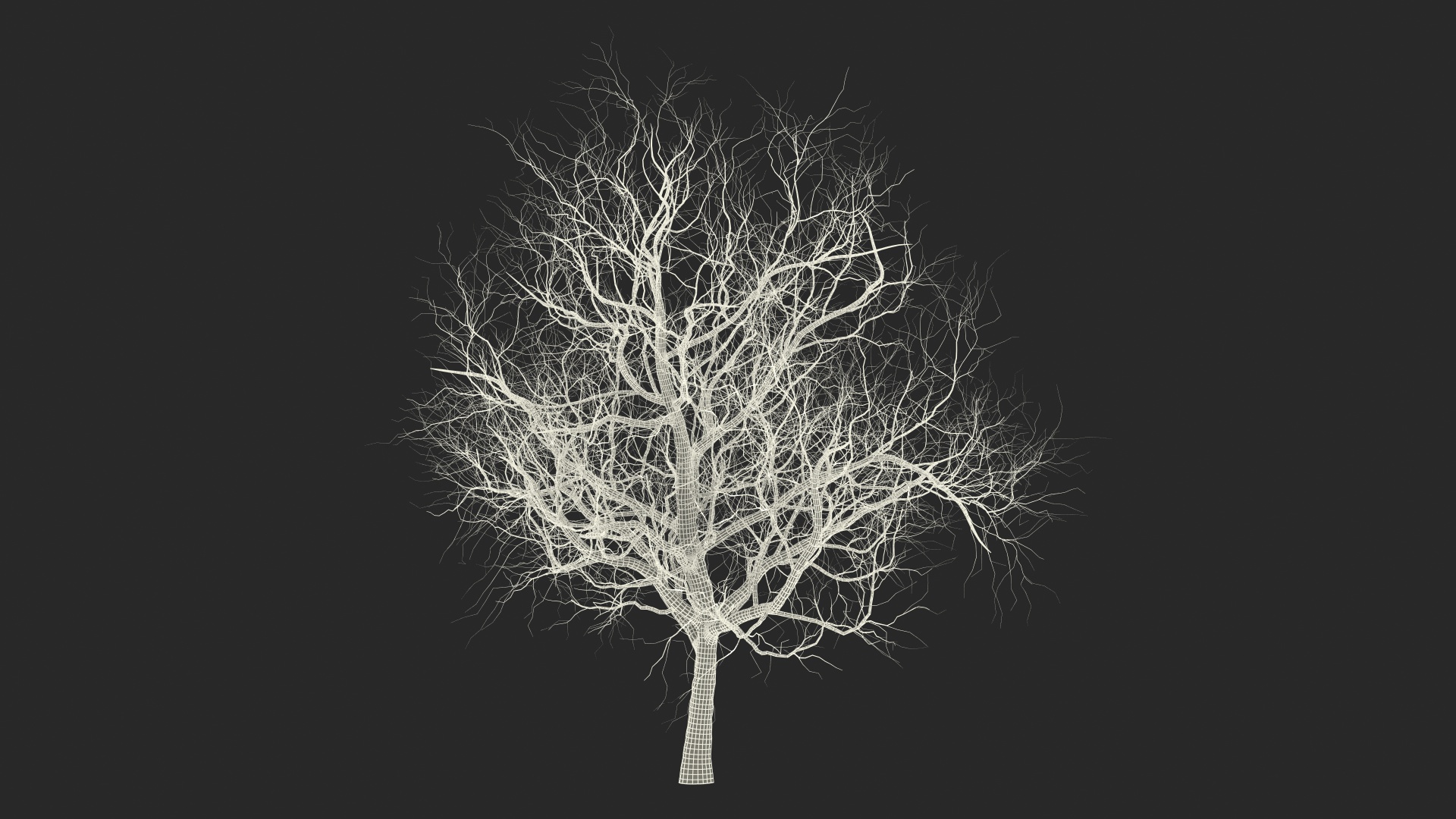 3D Winter Cherry Tree model