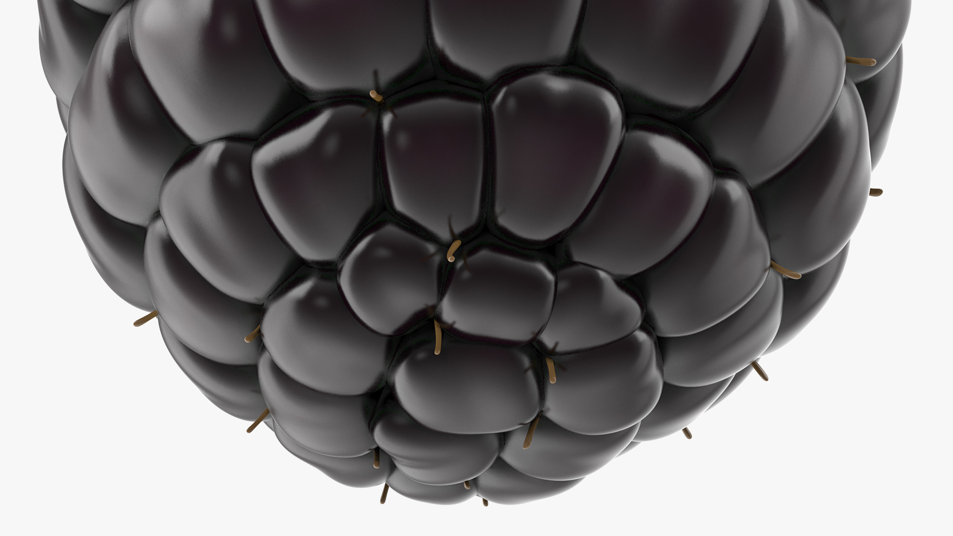 3D Fresh Blackberry