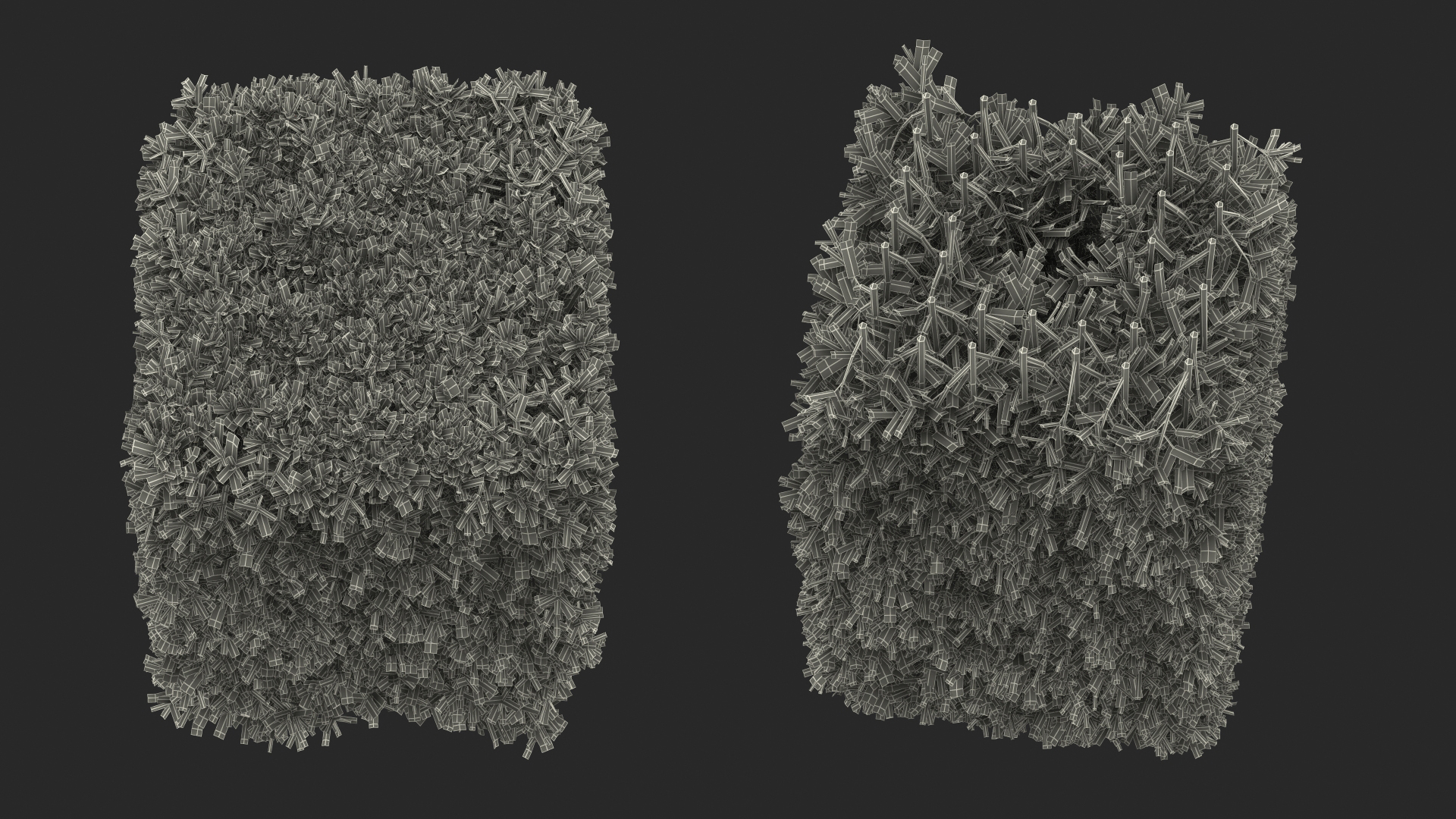 Boxwood Square Bush 3D model
