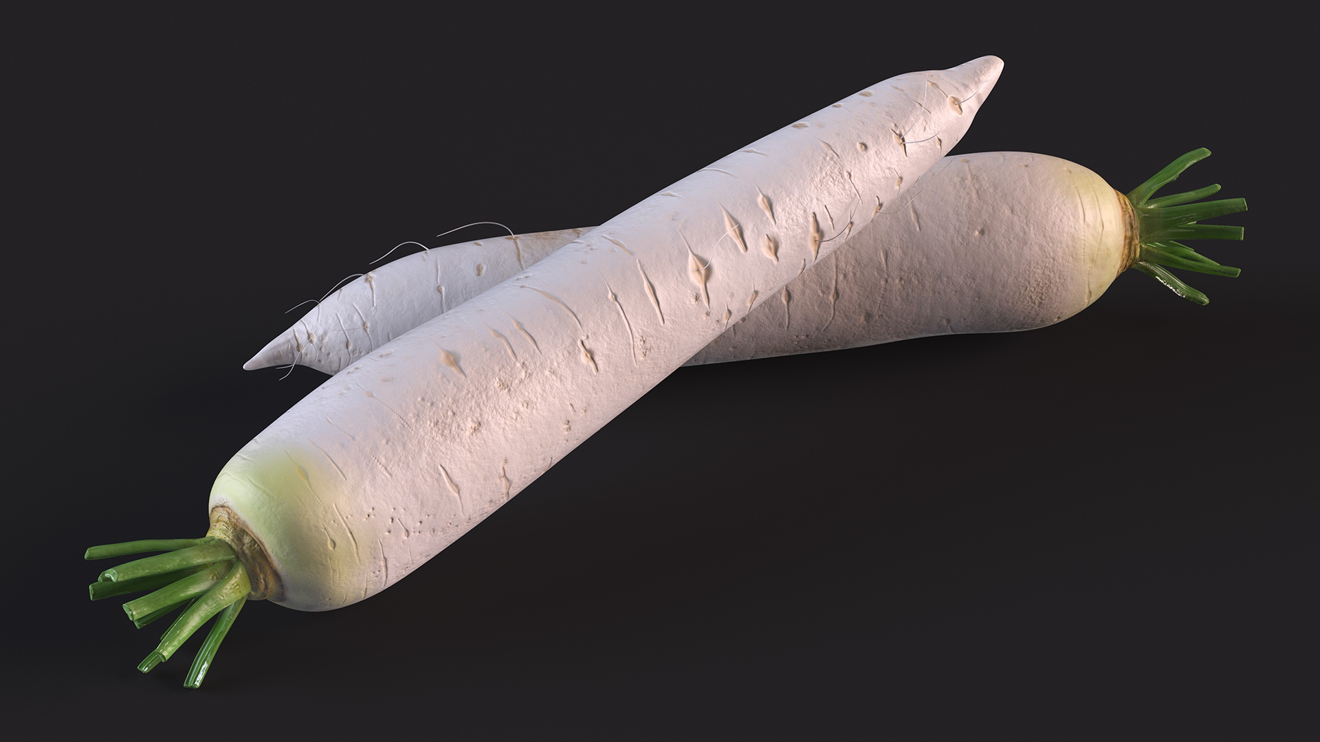 Daikon Long White Radish 3D model