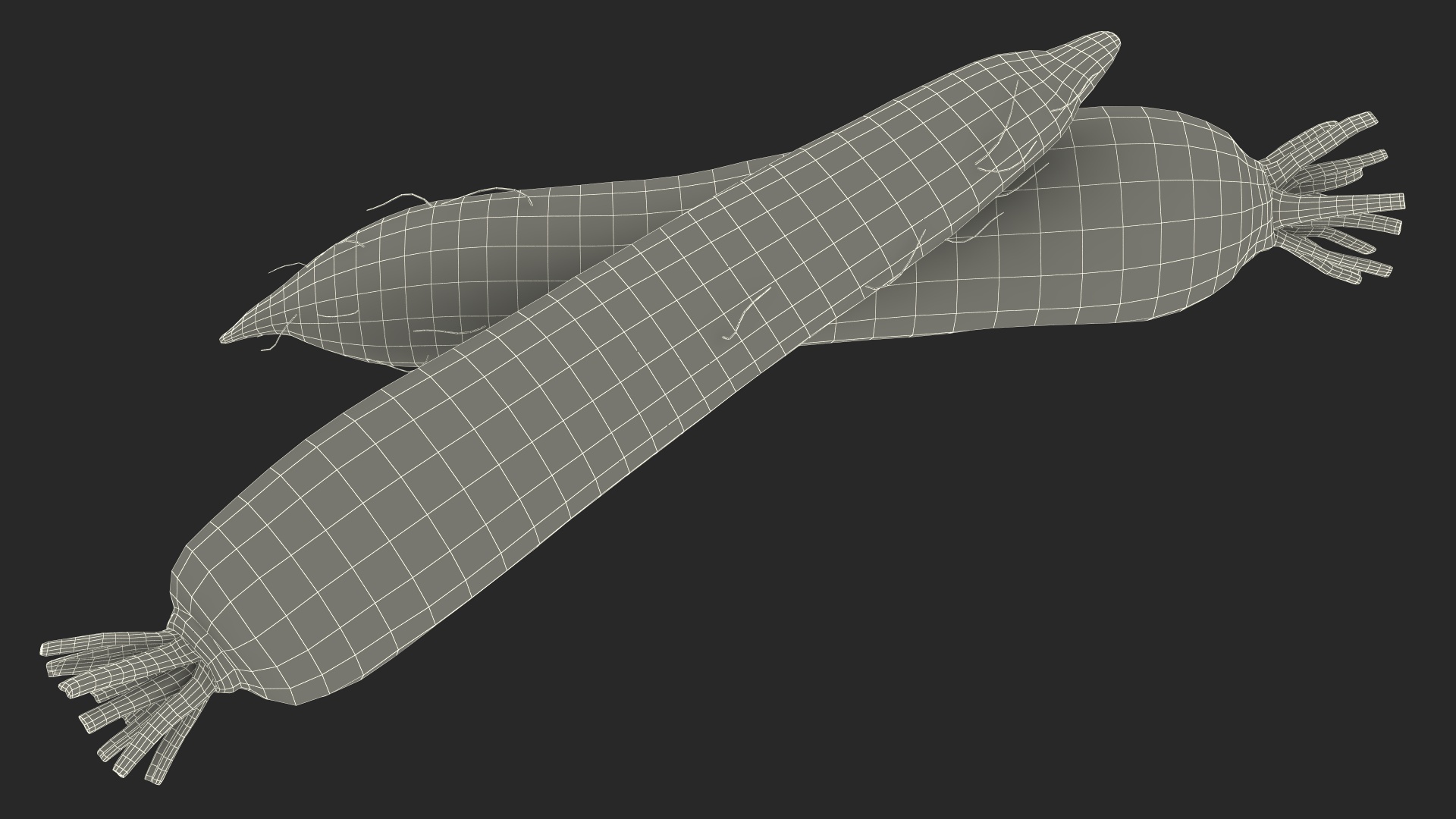 Daikon Long White Radish 3D model