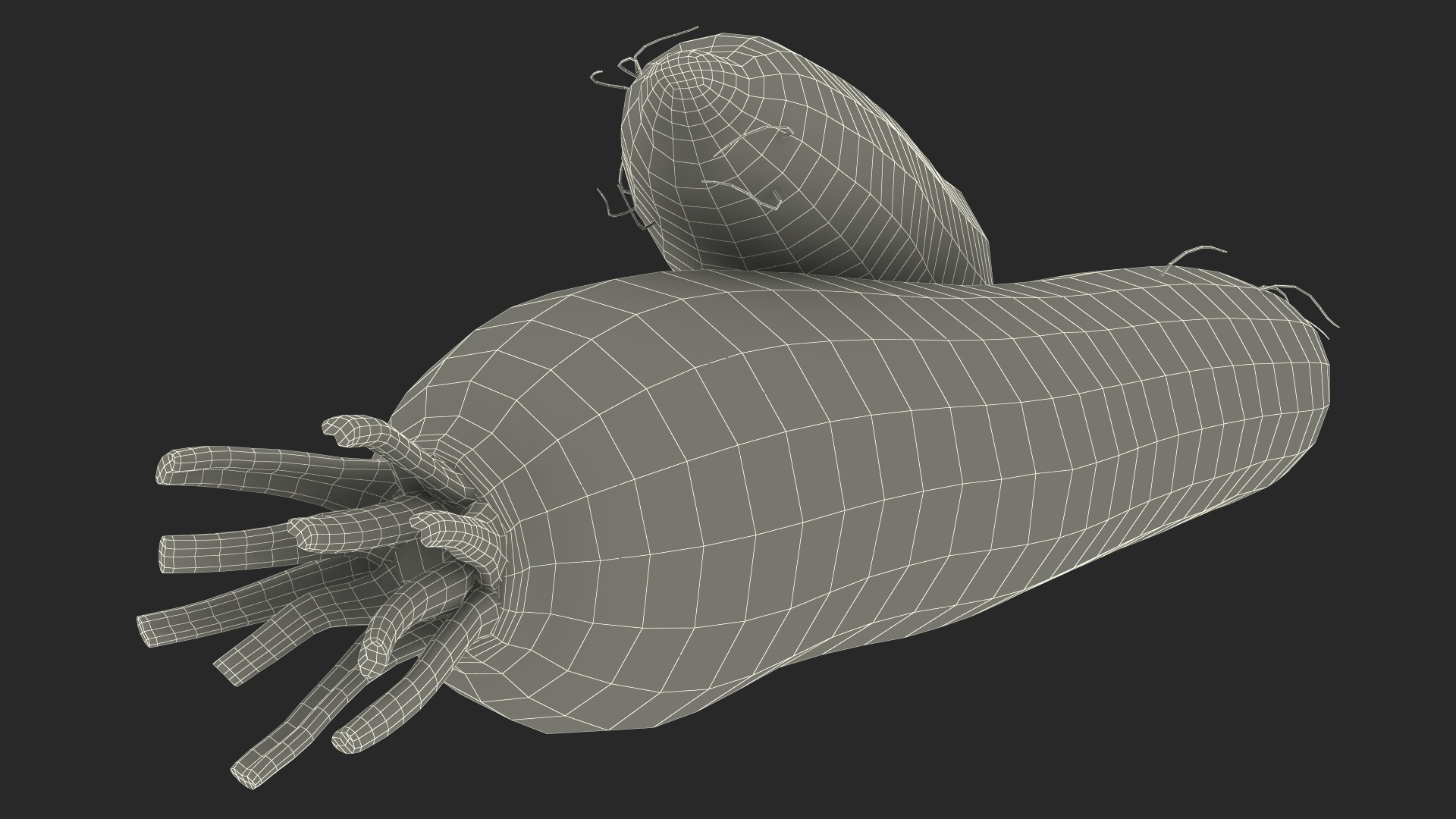 Daikon Long White Radish 3D model